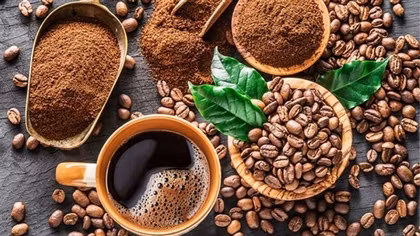 Positive outlook ahead for Vietnamese coffee exports to Greece