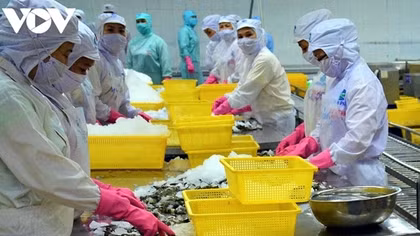 Online trade exchange to boost aquatic exports to EU market