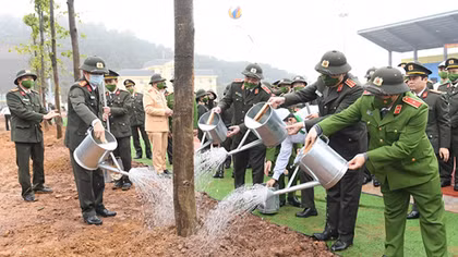 Minister To Lam chairs tree-planting event