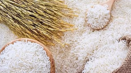 Chance for local rice to penetrate Nordic region