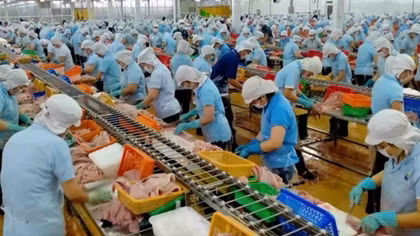 Canada becomes second largest consumer of Vietnamese tra fish within CPTPP