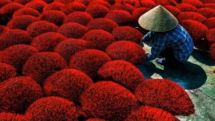 Local image claims prize at CEFF International Environmental Photography