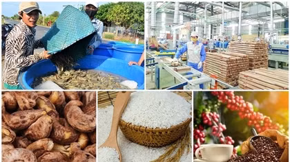 Boosting agricultural exports to US based on standardised production