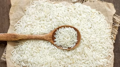 Growing demand for Vietnamese rice in Africa