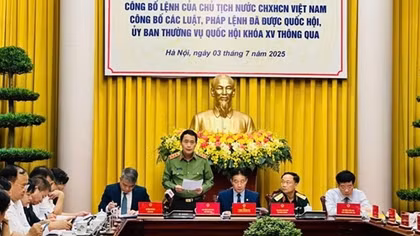 Law on Amendments and Supplements to Certain Articles of the Penal Code officially announced