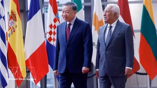 Vietnam, EU and Belgium seek deeper, practical cooperation