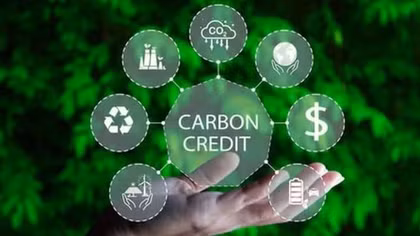 Hanoi sets up inter-agency mechanism to operate carbon market