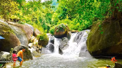 Dinh Mountain – a green escape in southeastern Vietnam