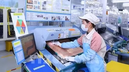Electronic components are produced at a factory in Hanoi. (Photo: VNA)