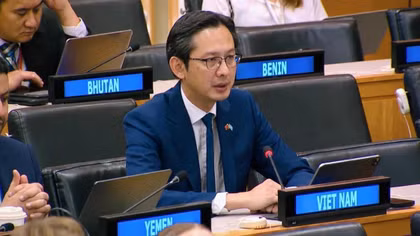 Vietnam calls for stronger int'l cooperation to drive sustainable development