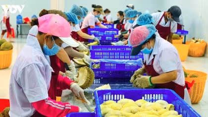Agro-forestry-fisheries exports rise over 9% in five months
