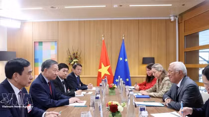 Top leader holds talks with European Council President