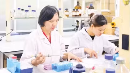 Vietnamese scientists develop nanovitexin from mung bean husks to support diabetes treatment