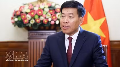 Vietnamese Deputy Minister of Foreign Affairs Nguyen Manh Cuong. (Photo: VNA)