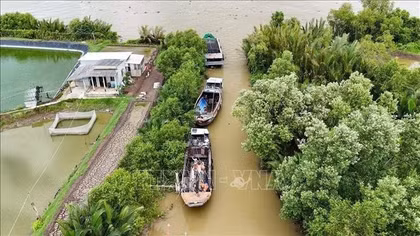 Tackling IUU 'yellow card': Tay Ninh tightens fishing fleet management