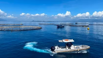 Vietnam unlocks new development space from sea