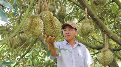Vietnam's durian exports set sights on new record