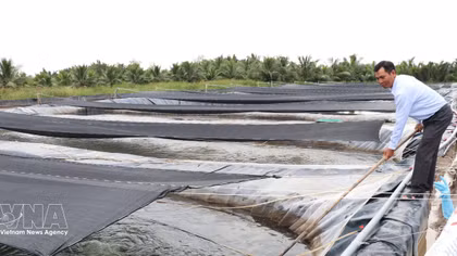 Vietnam's tilapia exports maintain strong growth